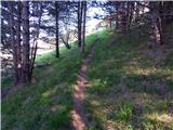 Col - Križna gora above Col